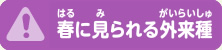 春に見られる外来種