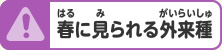 春に見られる外来種