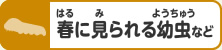 春に見られる幼虫など