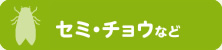 セミ・チョウなど