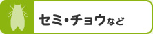 セミ・チョウなど