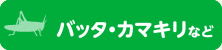 バッタ・カマキリなど