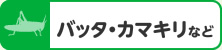 バッタ・カマキリなど