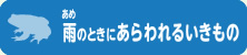 雨のときにあらわれるいきもの