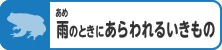 雨のときにあらわれるいきもの