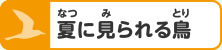 夏に見られる鳥