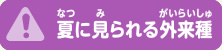 夏に見られる外来種