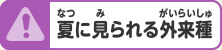 夏に見られる外来種