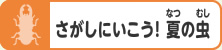 さがしにいこう! 夏の虫