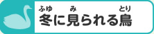 冬に見られる鳥