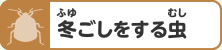 冬ごしをする虫