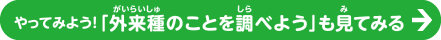 「外来種のことを調べよう」も見てね！