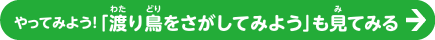 「渡り鳥をさがしてみよう」も見てね！