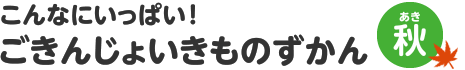 こんなにいっぱい！　ごきんじょいきものずかん　秋