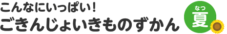 こんなにいっぱい！　ごきんじょいきものずかん　夏