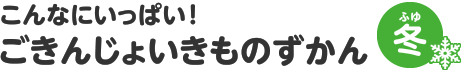 こんなにいっぱい！　ごきんじょいきものずかん　冬