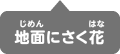 春の地面にさく花