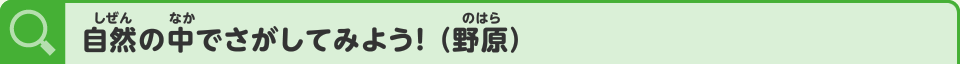 自然の中でさがしてみよう！（野原）