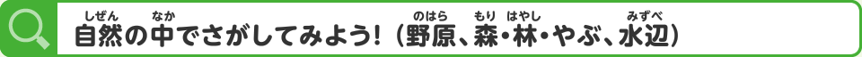 自然の中でさがしてみよう！ （野原、森・林・やぶ、水辺）