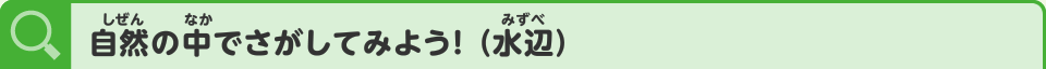 自然の中でさがしてみよう！（水辺）