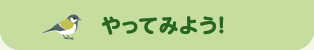 やってみよう！