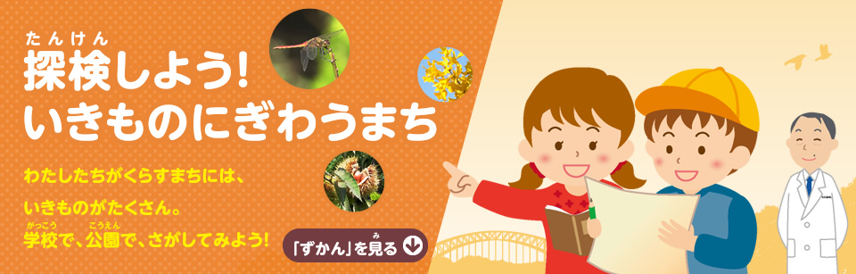 探検しよう！ いきものにぎわうまち