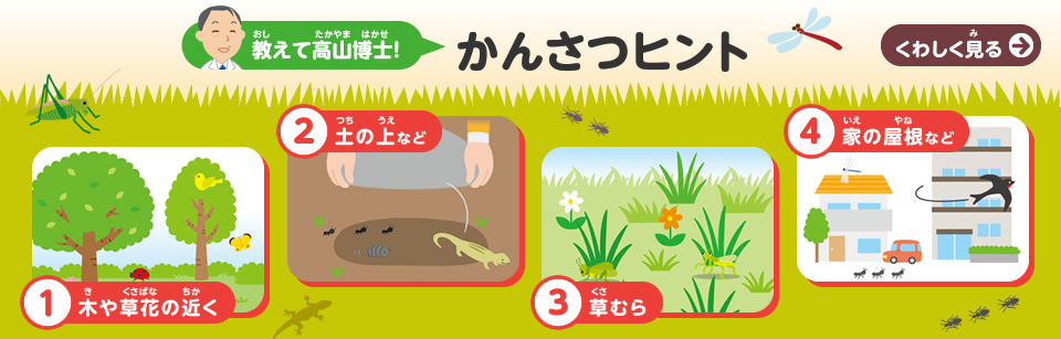 教えて高山博士！　かんさつヒント