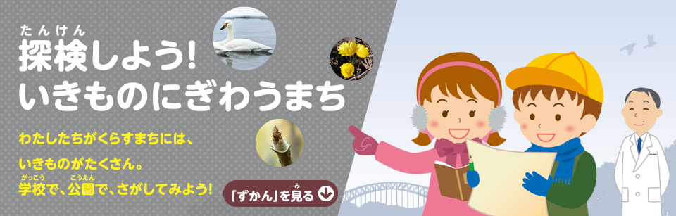 探検しよう！ いきものにぎわうまち