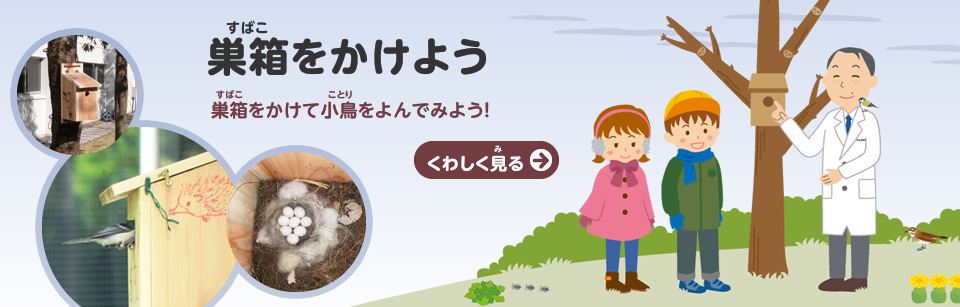 巣箱をかけよう