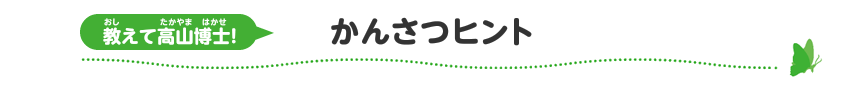 教えて高山博士！　かんさつヒント