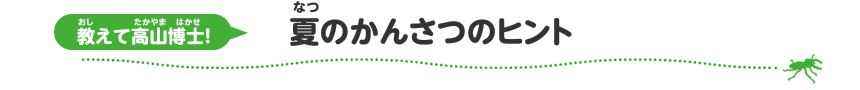 教えて高山博士！　夏のかんさつヒント