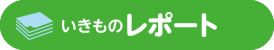 いきものレポートにちょうせん