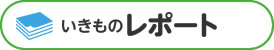 いきものレポートにちょうせん