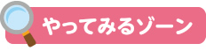 やってみるゾーン