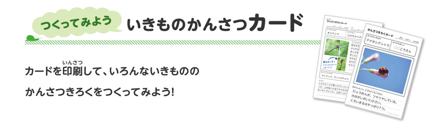 つくってみよう いきものかんさつカード