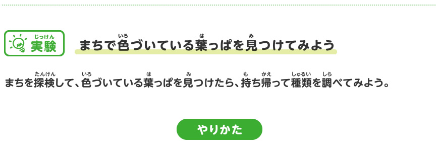 色づいた葉っぱを見に行こう