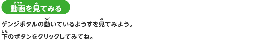 ホタルのことを調べよう