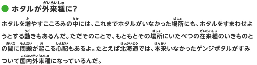 ホタルのことを調べよう