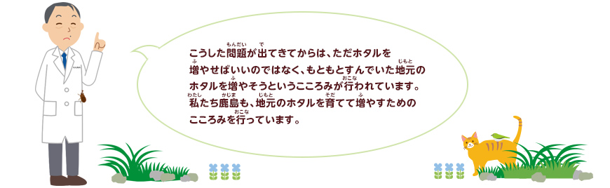 ホタルのことを調べよう