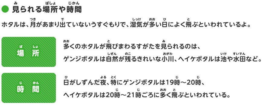 ホタルのことを調べよう