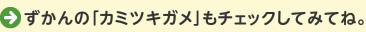 ずかんの「カミツキガメ」もチェックしてみてね。