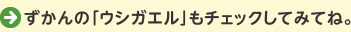 ずかんの「ウシガエル」もチェックしてみてね。