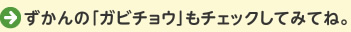 ずかんの「ガビチョウ」もチェックしてみてね。