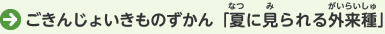 ごきんじょいきものずかん「夏に見られる外来種」