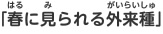 「春に見られる外来種」