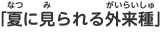 「夏に見られる外来種」。