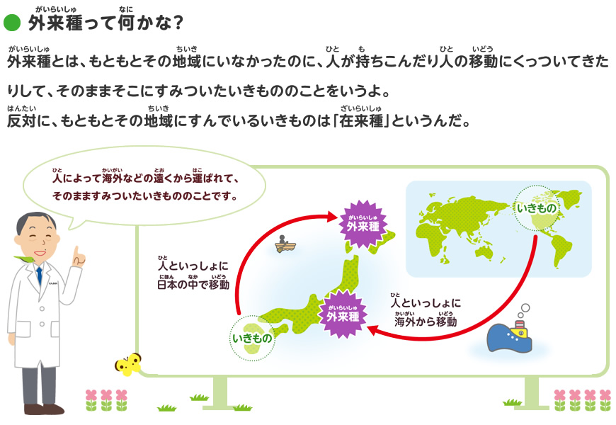 外来種のことを調べよう