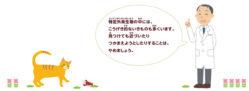 外来種のことを調べよう