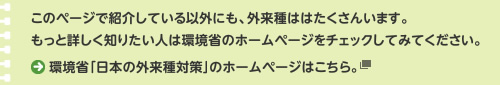 外来種のことを調べよう