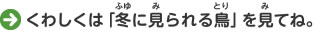 くわしくは「冬に見られる鳥」を見てね。